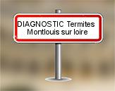 Diagnostic Termite AC Environnement  à Montlouis sur Loire
